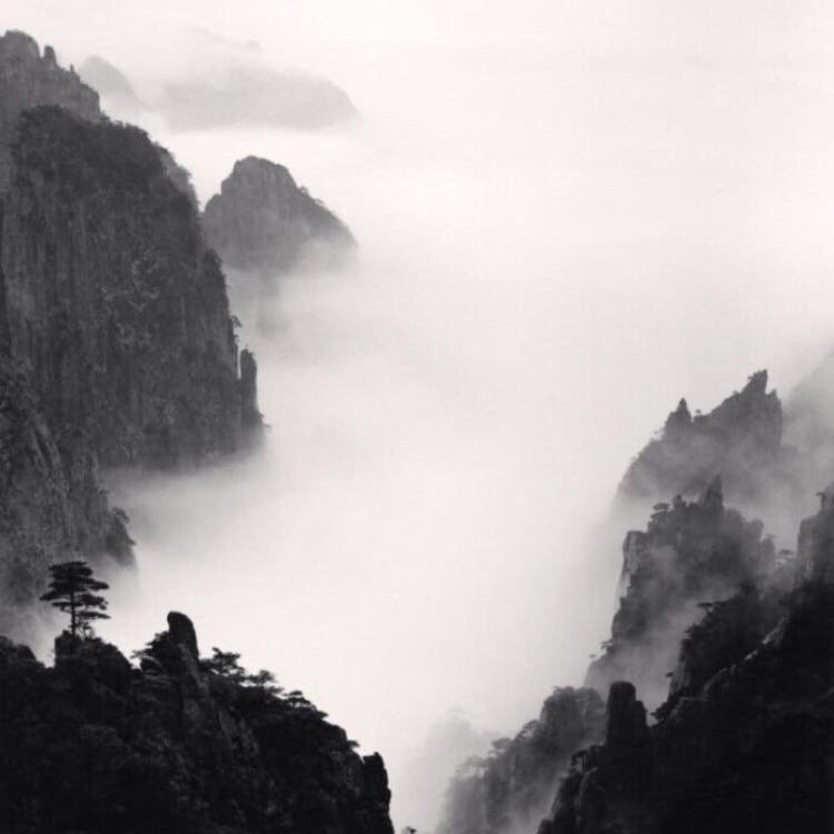 则座诚 - 体育赛事直播在线观看 - 网络看电影